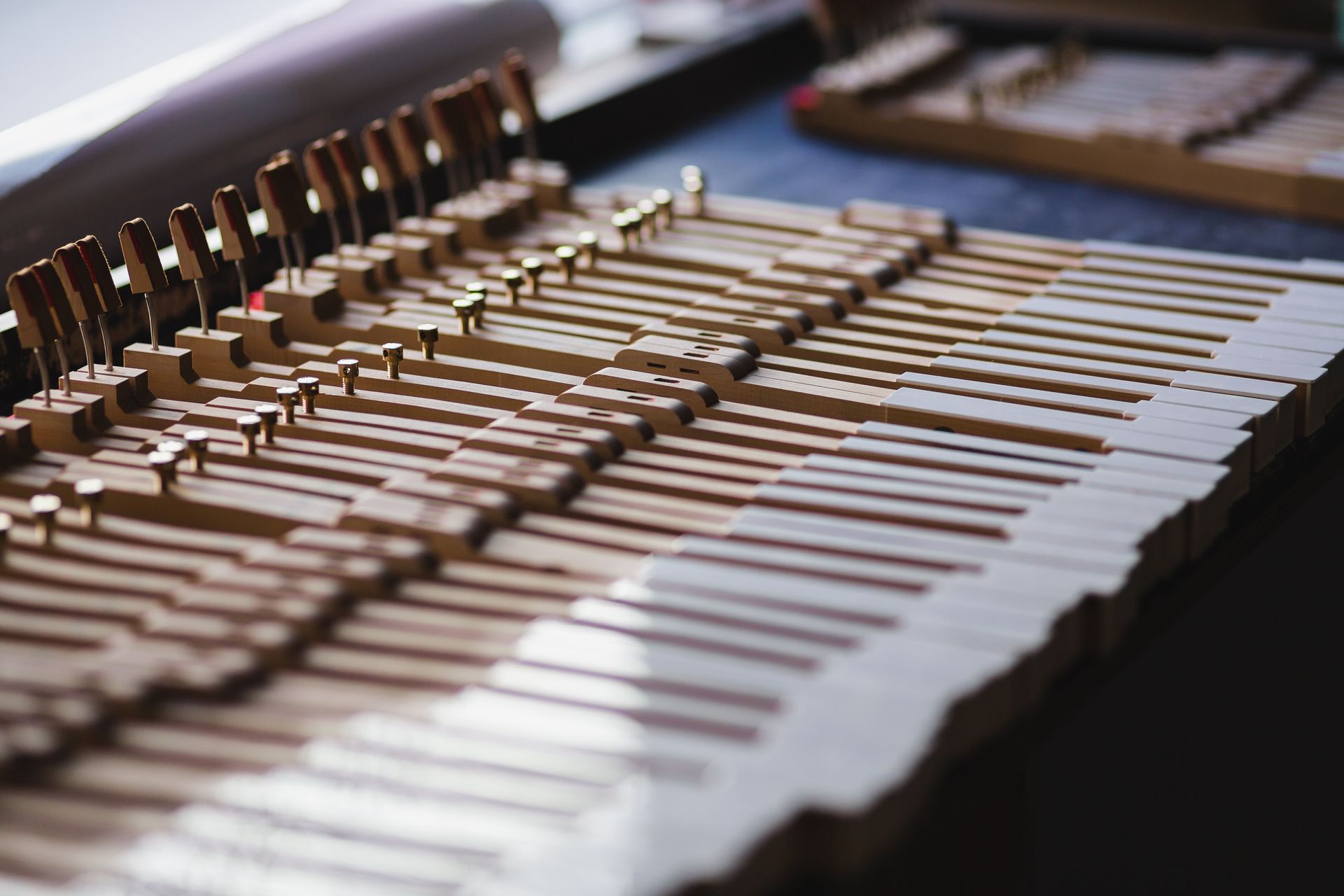 Close-up of piano keys and strings inside an open piano frame