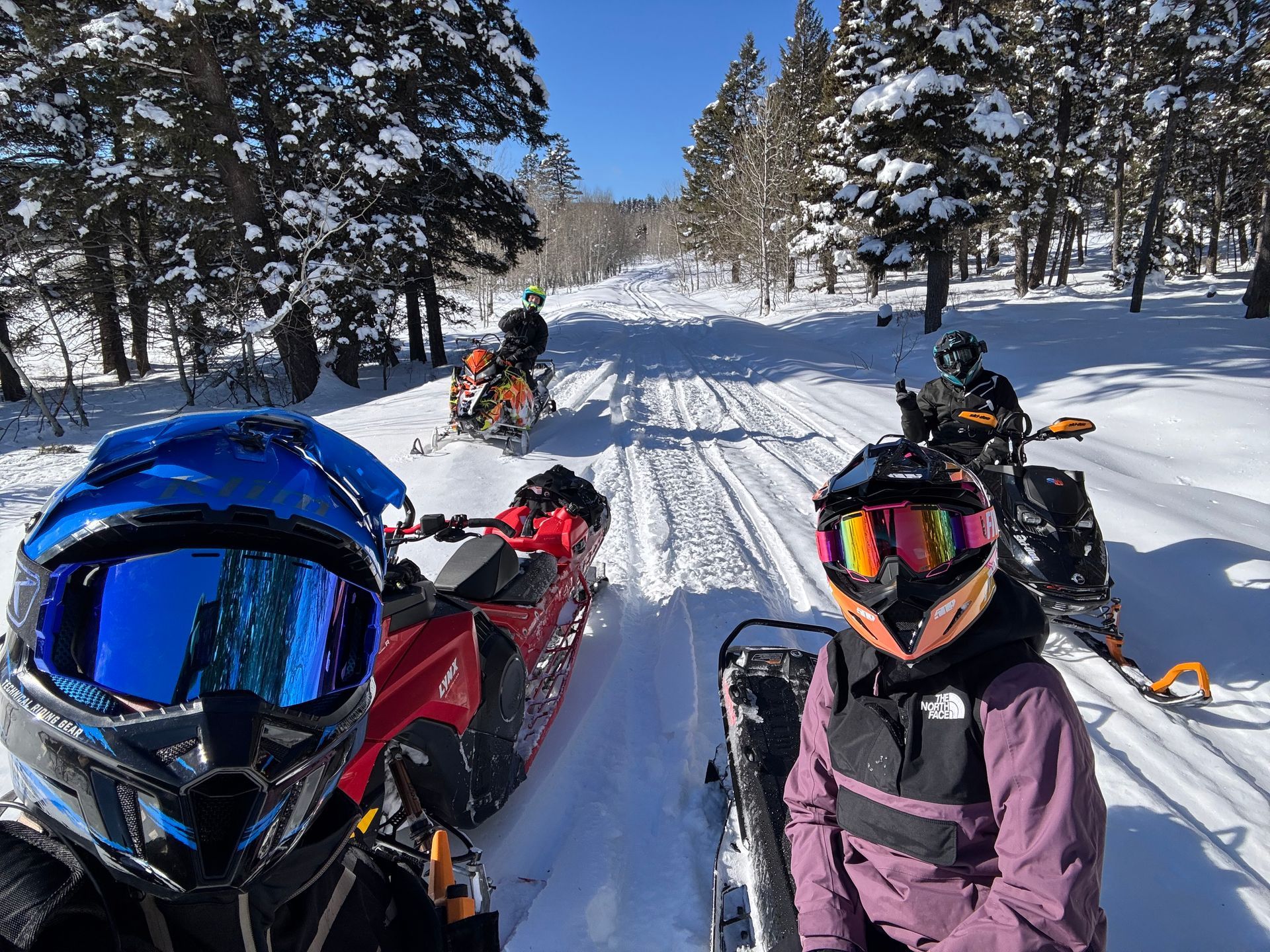 Snowmobile Adventures