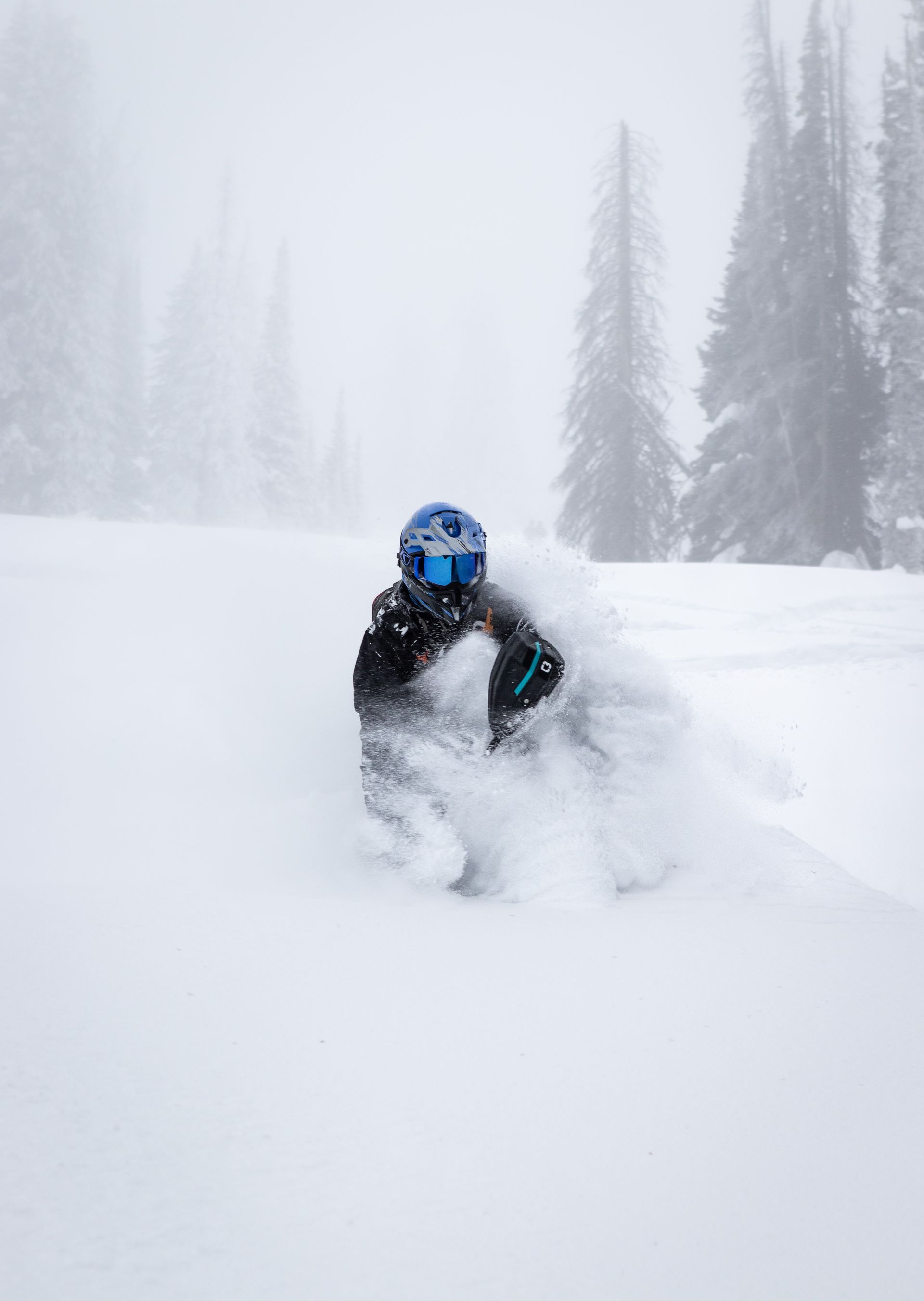 Snowbike Idaho