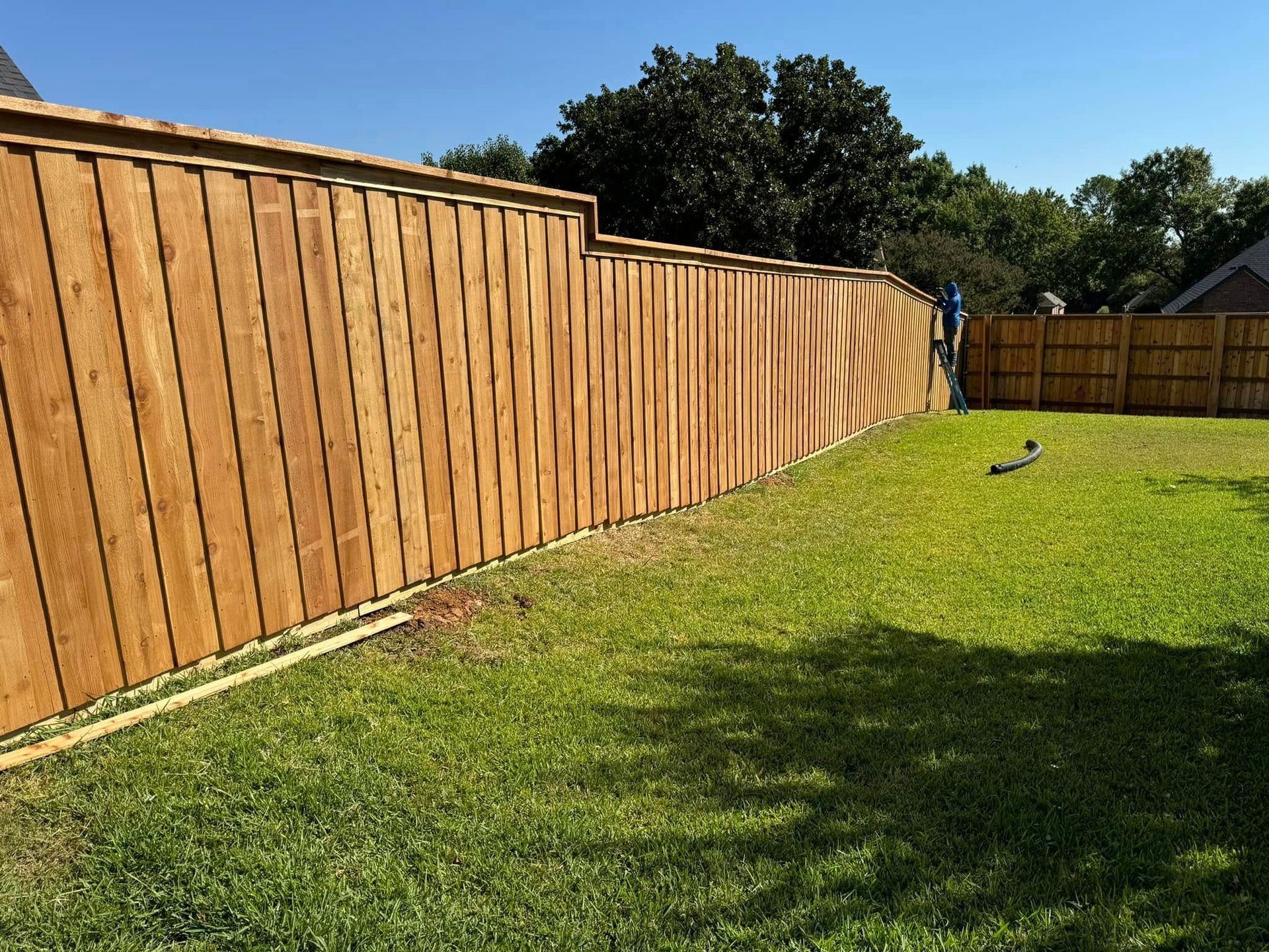 A wooden fence encloses a grassy backyard under a blue sky.