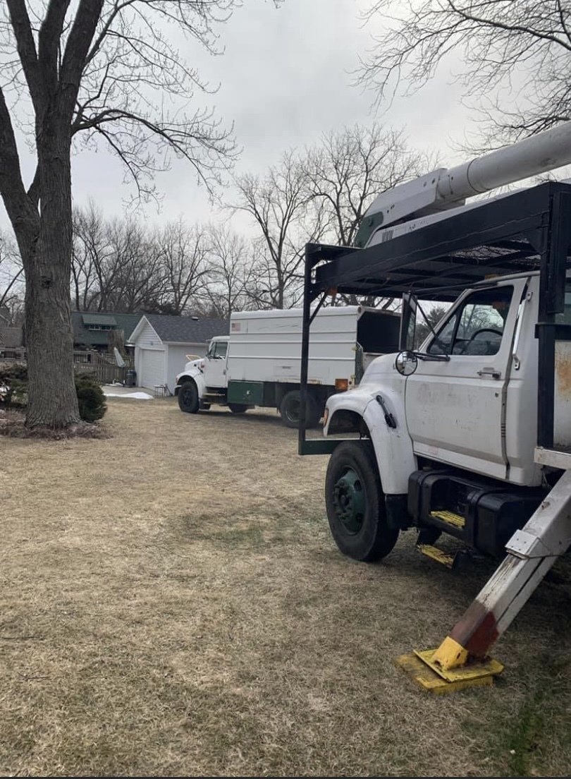 Twin Pines Tree Care Experts Naperville Tree Removal, Tree Trimming