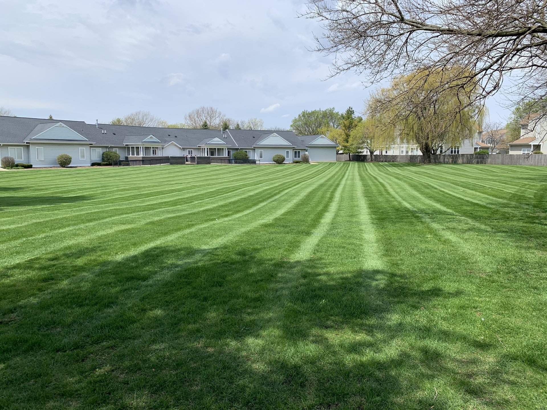 Twin Pines Tree Care Experts Naperville Tree Removal, Tree Trimming