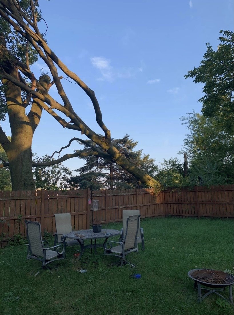 Twin Pines Tree Care Experts Naperville Tree Removal, Tree Trimming