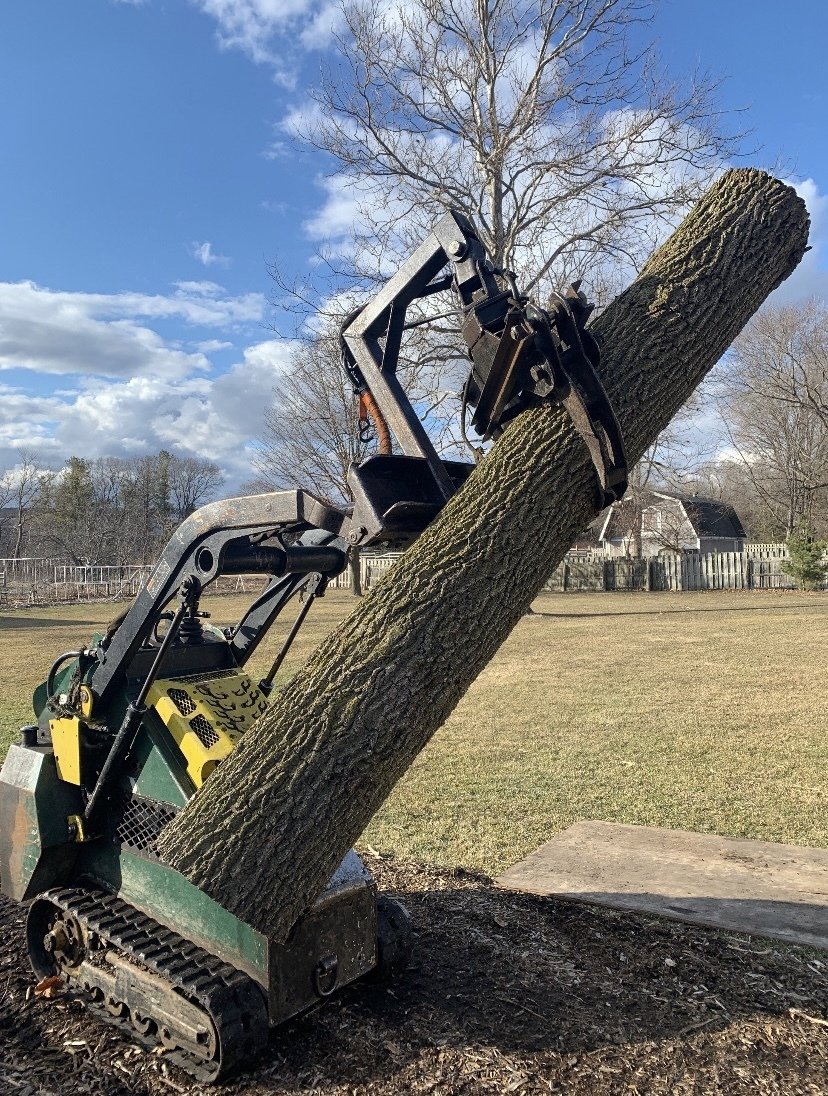 Twin Pines Tree Care Experts Naperville Tree Removal, Tree Trimming