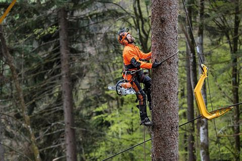 WHY CHOOSE A PROFESSIONAL LAND CLEARING SERVICE?