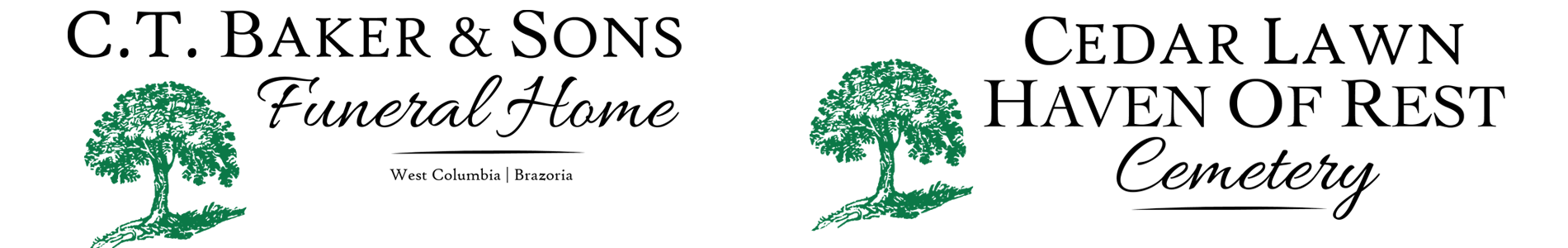 logo-image