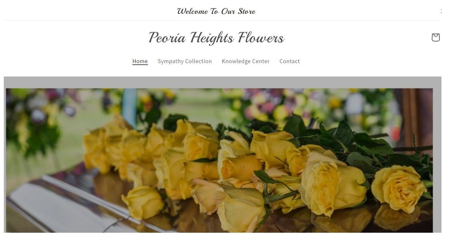website builders peoria il