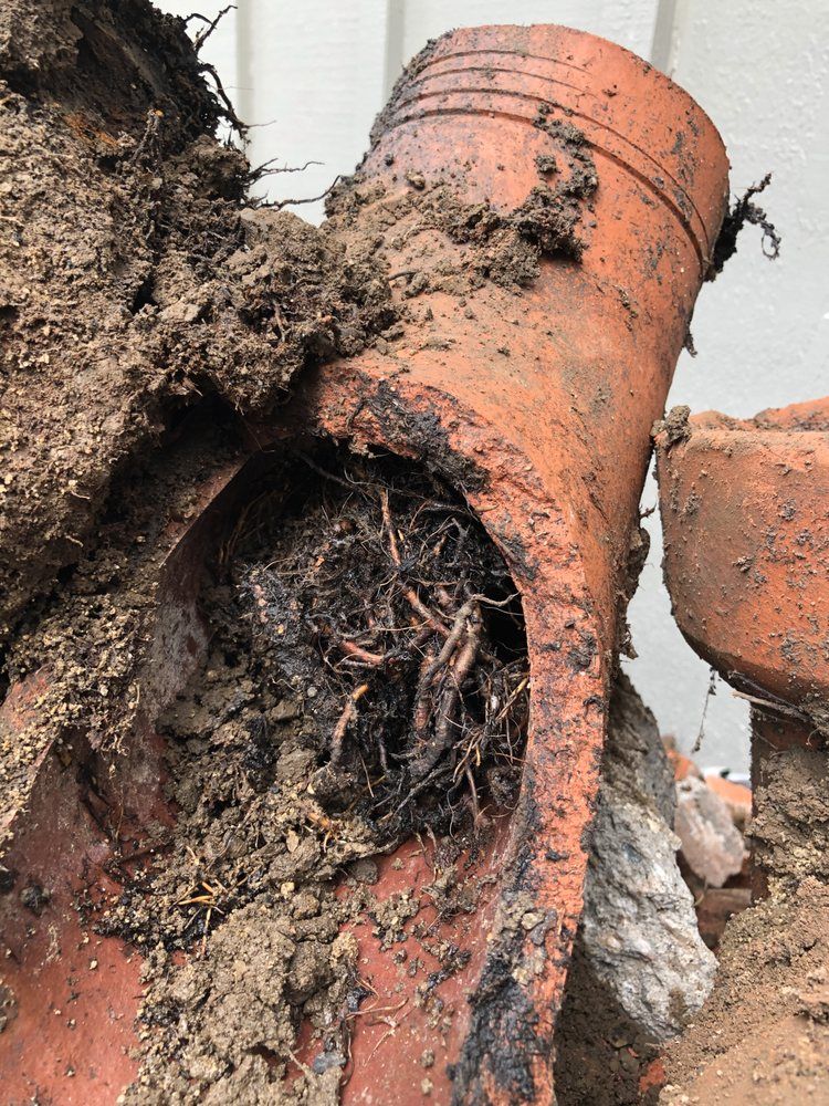 A close up of a muddy pipe with roots sticking out of it.