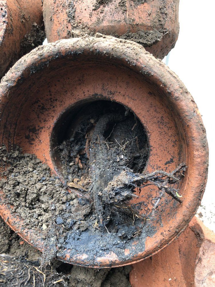 A pile of clay pots filled with dirt and roots.