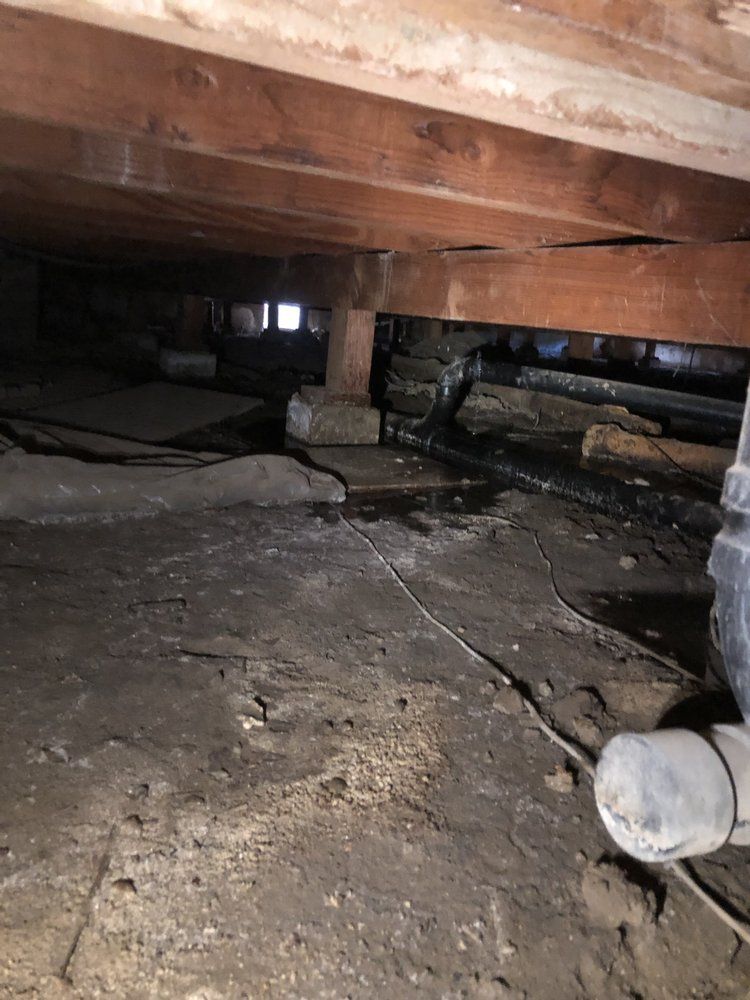 A person is standing under a wooden floor in a basement.