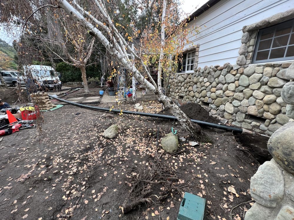 A house with a stone wall and a tree in front of it.