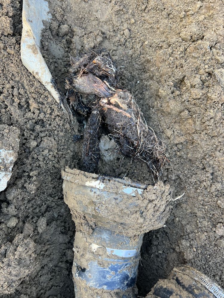 A turtle is laying in the dirt next to a pipe.