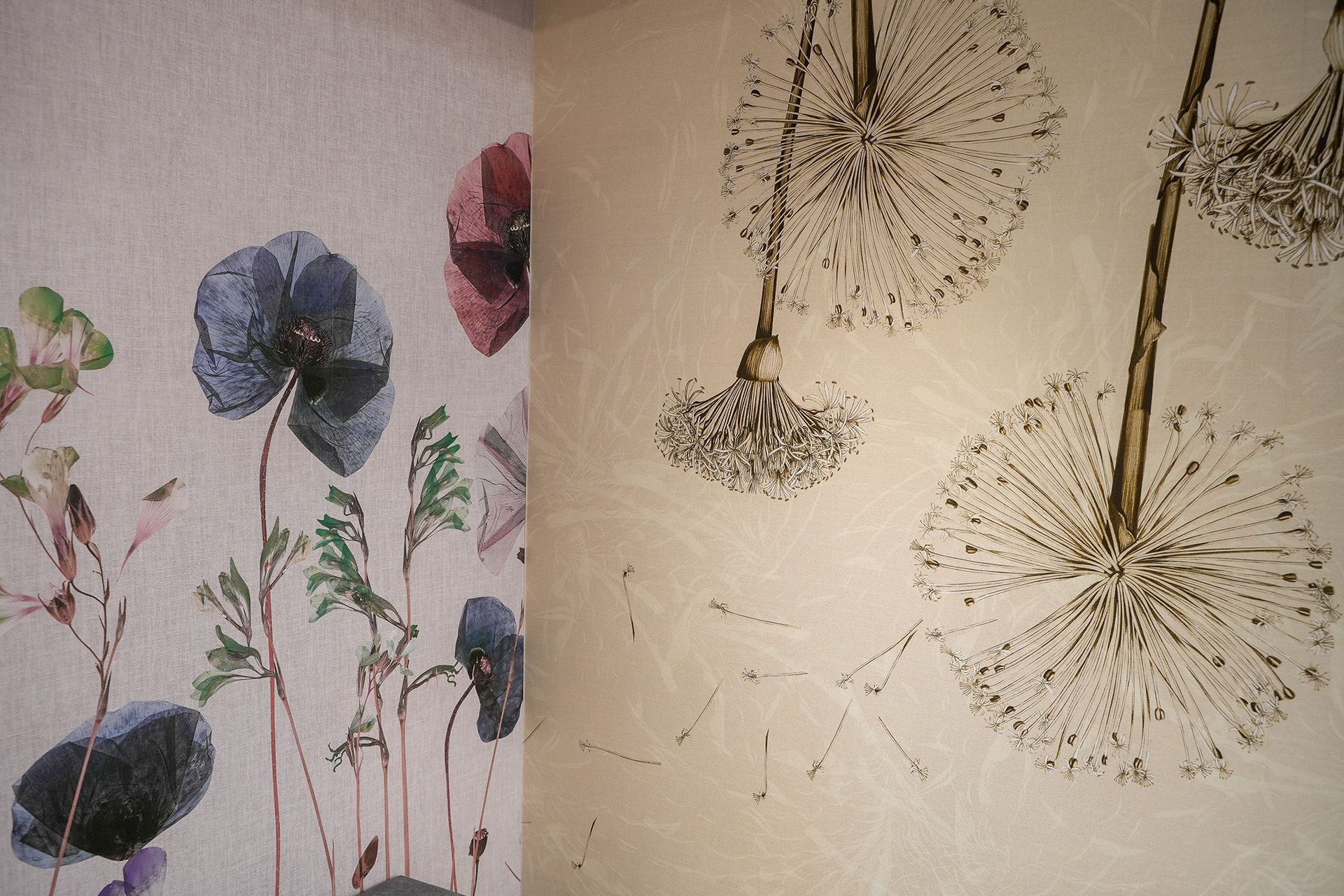 Su una parete d'angolo si può ammirare un contrasto suggestivo tra una carta da parati floreale con petali colorati e una parete beige decorata con un disegno di un dente di leone.