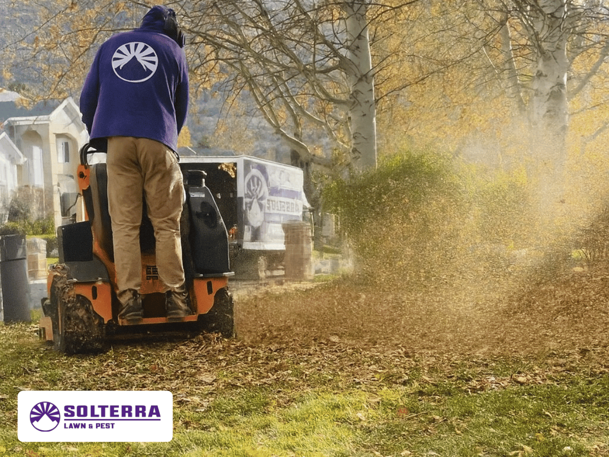 Worker using a leaf blower on a lawn, clearing autumn leaves near houses