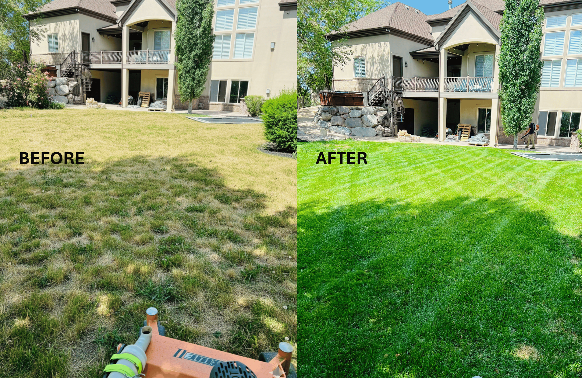 Residential lawn before and after showing improved turf color after lawn fertilization in Utah