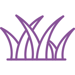 Purple outline of blades of grass.