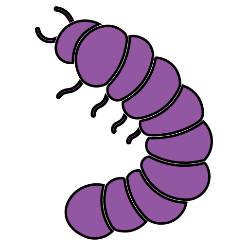 Purple caterpillar with black outlines and small antennae.