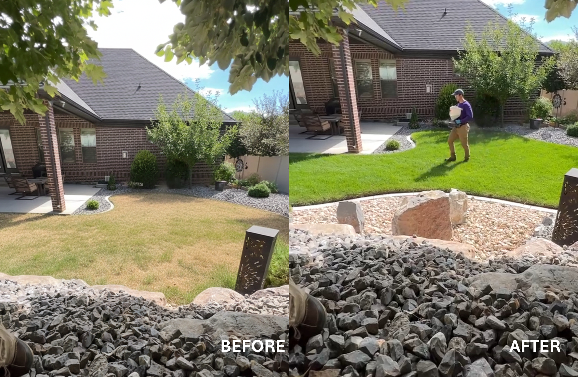 Backyard lawn before and after professional lawn fertilization service in Lehi, UT