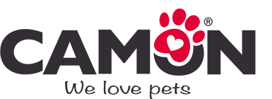 logo camon