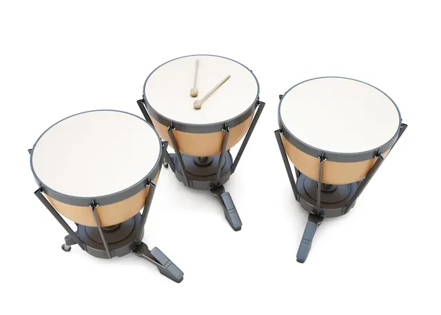 White Drumstick — Honolulu, HI — Music Center of Hawaii Inc