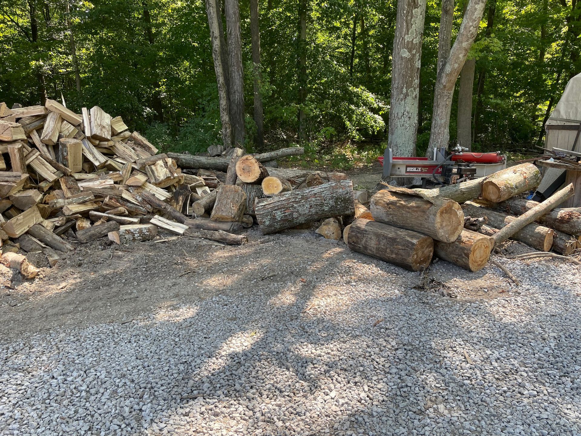Pile of cut logs and stacked firewood on a gravel driveway in a wooded yard.