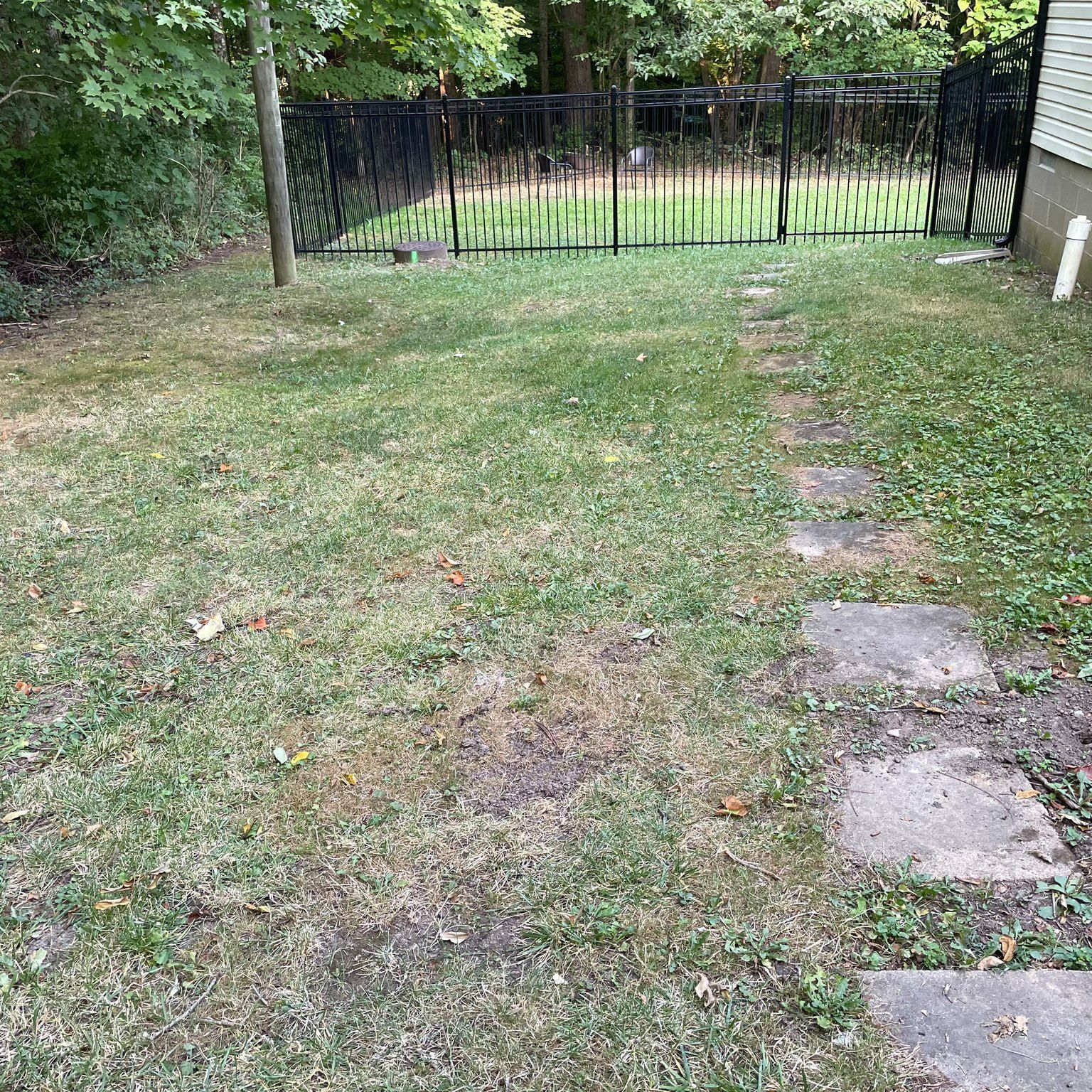 Backyard lawn with stepping stones leading to a black metal fence and gate.