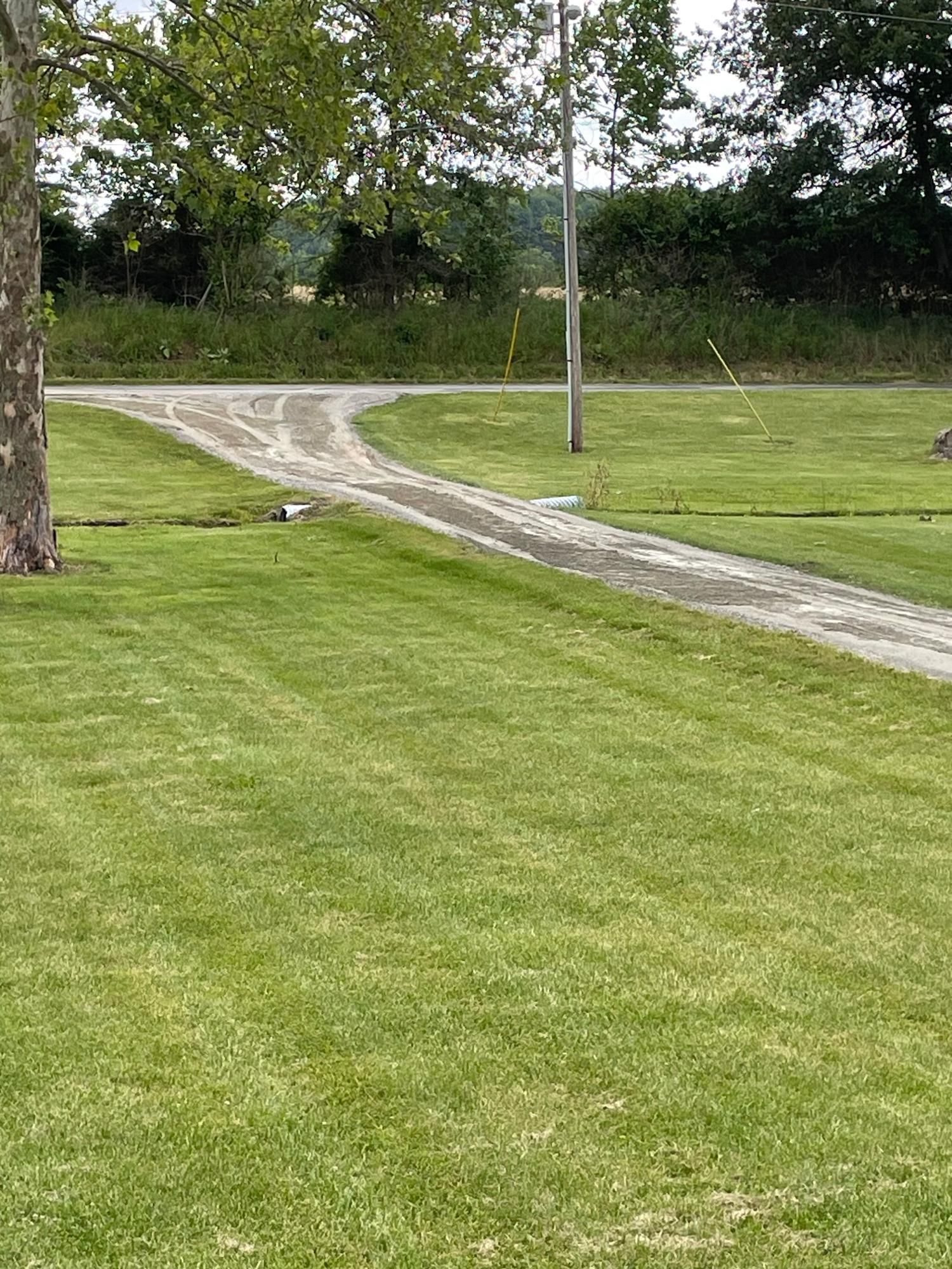 Curving dirt path through a grassy field with trees and a utility pole in the background