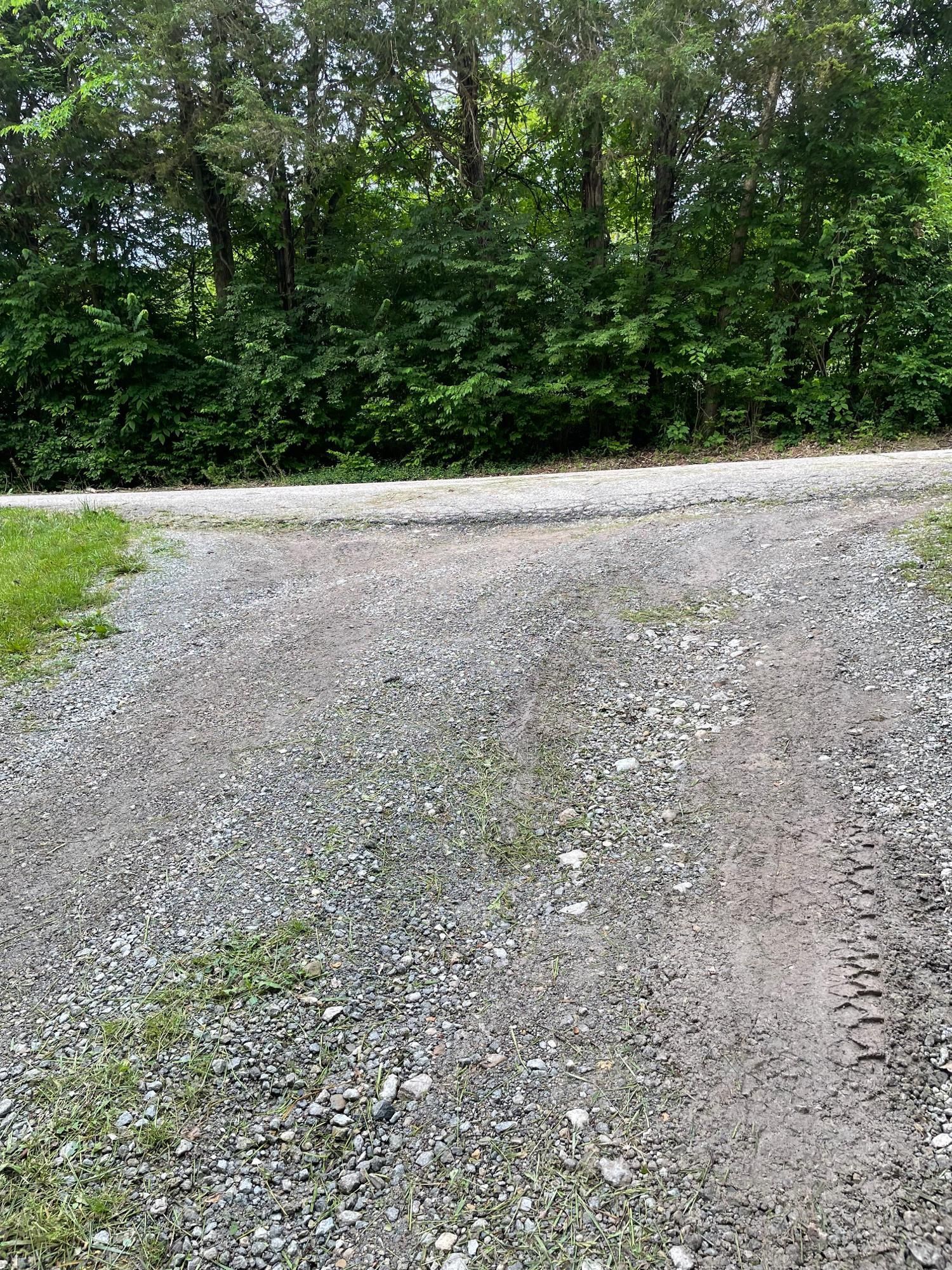 Gravel driveway curving into a dense green wooded area.
