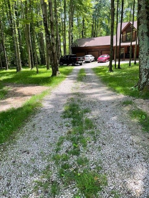 Gravel driveway through trees leading to a cabin with parked cars under green foliage