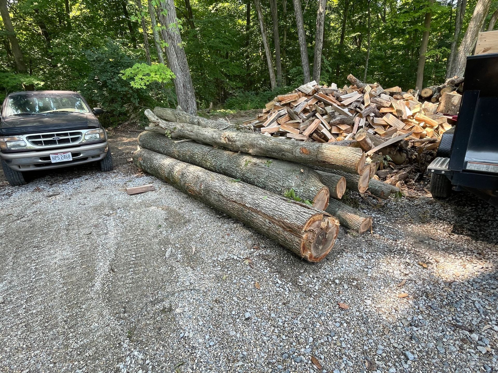 Stacked logs and a pile of split firewood beside a parked truck in a wooded gravel driveway.