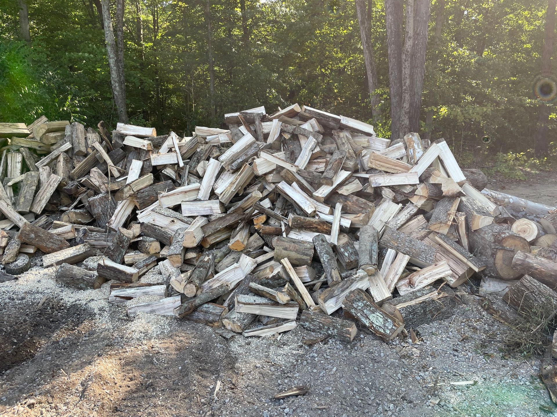 Pile of split firewood stacked in a wooded yard, with trees and brush in the background.