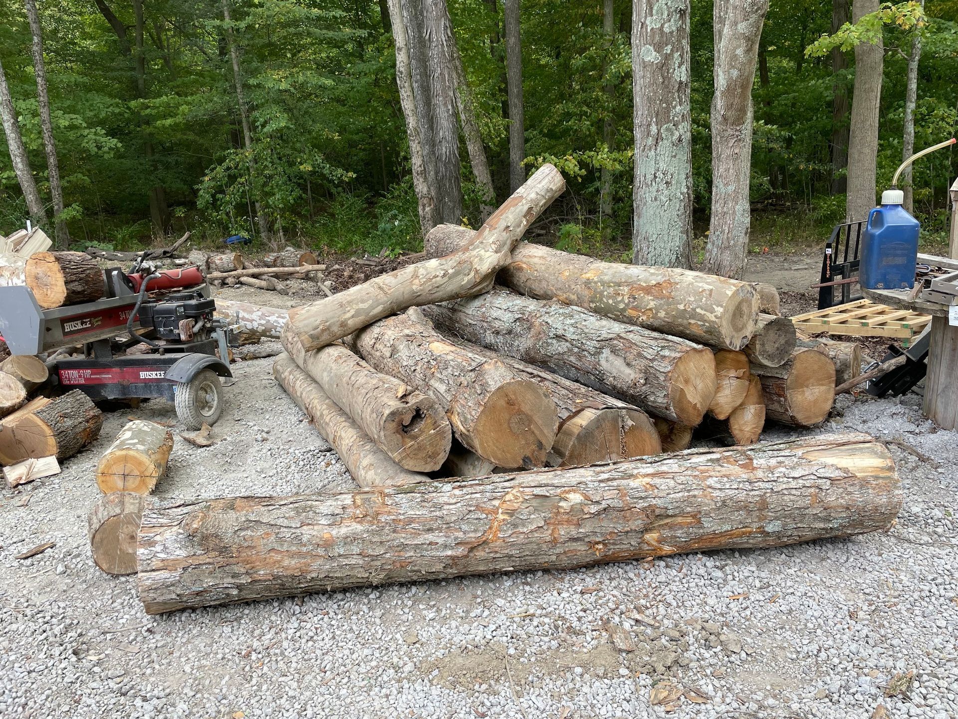 Stacked cut logs on a gravel clearing in the woods, with a red sawmill and blue machine nearby.