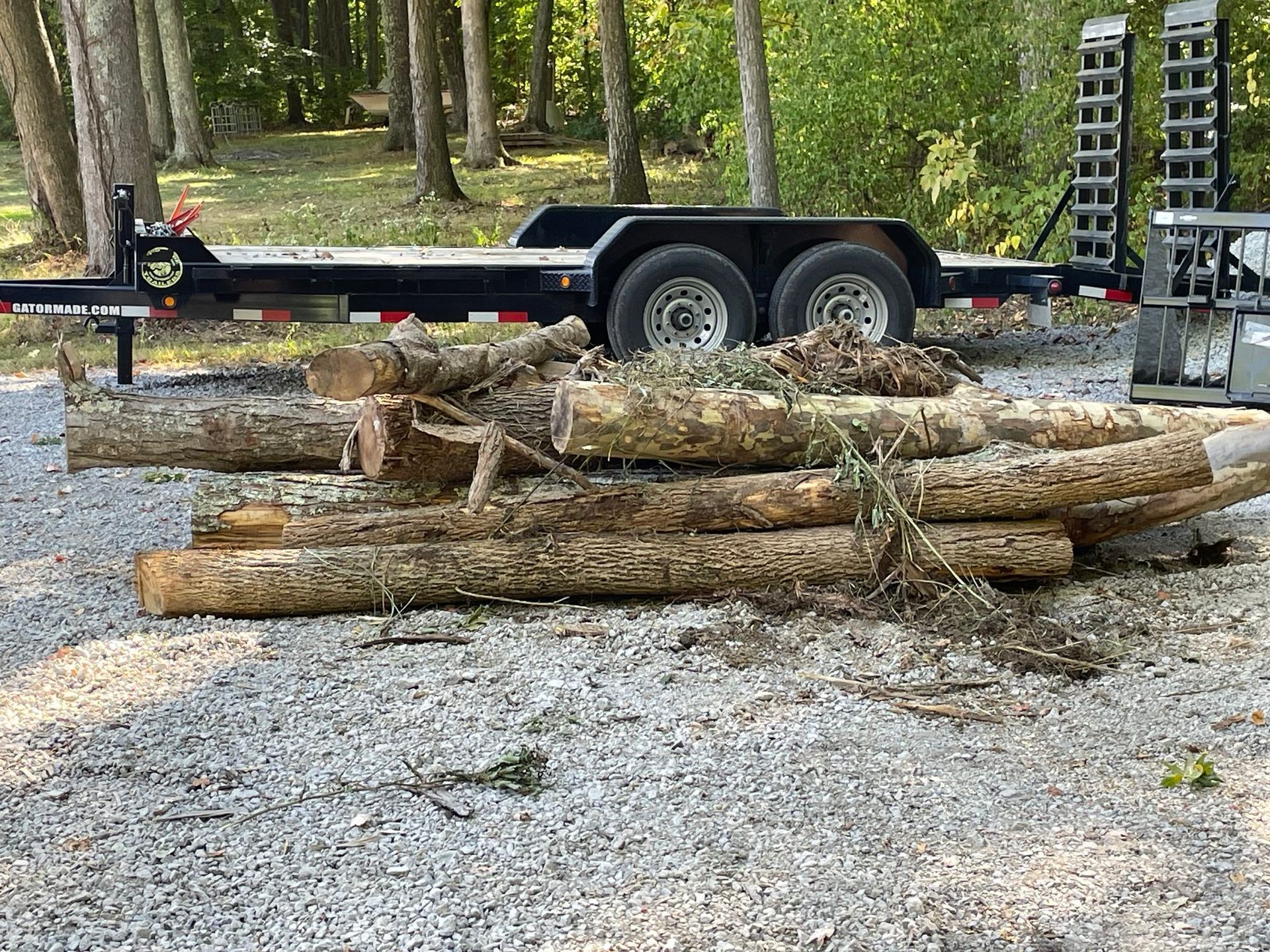 Piles of cut logs on gravel beside a black trailer in a wooded area