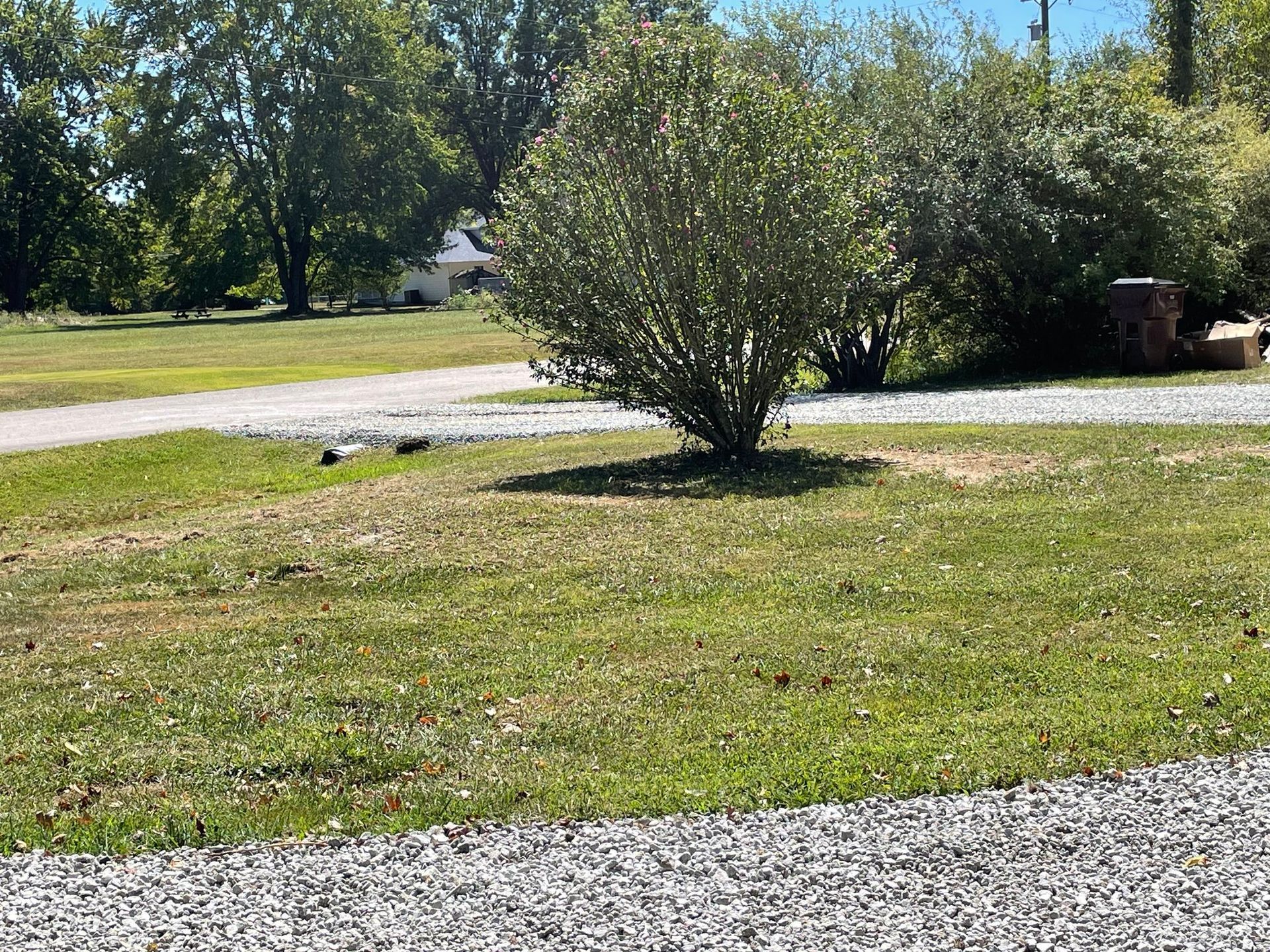 Sunny yard with a small tree, grass, and a gravel driveway in the foreground.