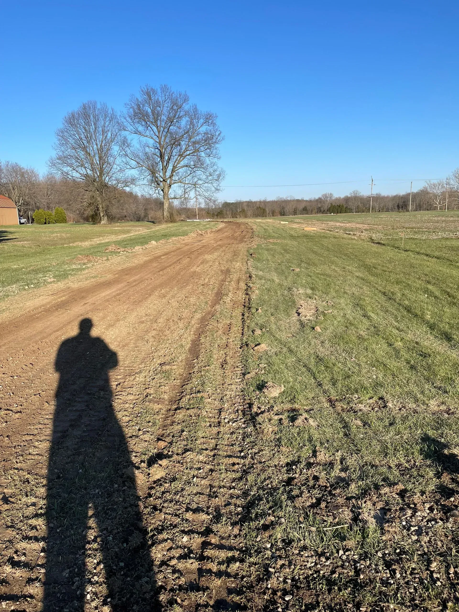 Sunny rural dirt path through grassy field with long shadow, leafless trees, and blue sky