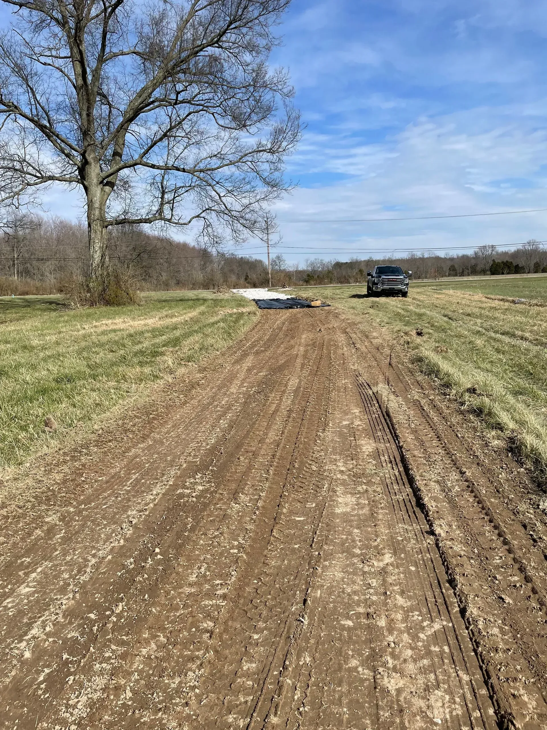 Dirt road through grassy field with leafless tree and parked SUV under a blue sky