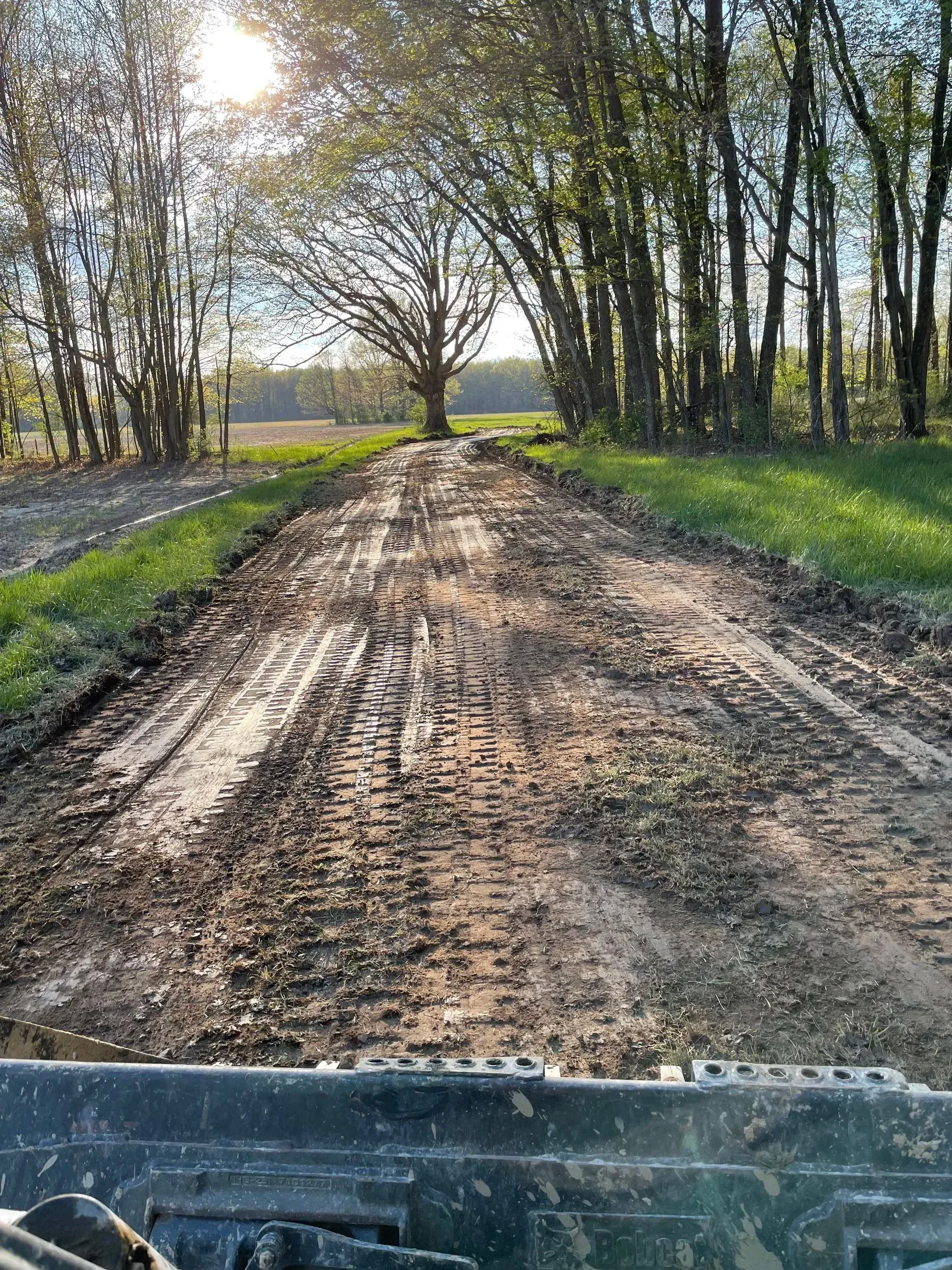Muddy dirt road through trees, viewed from a vehicle in a wooded rural area.