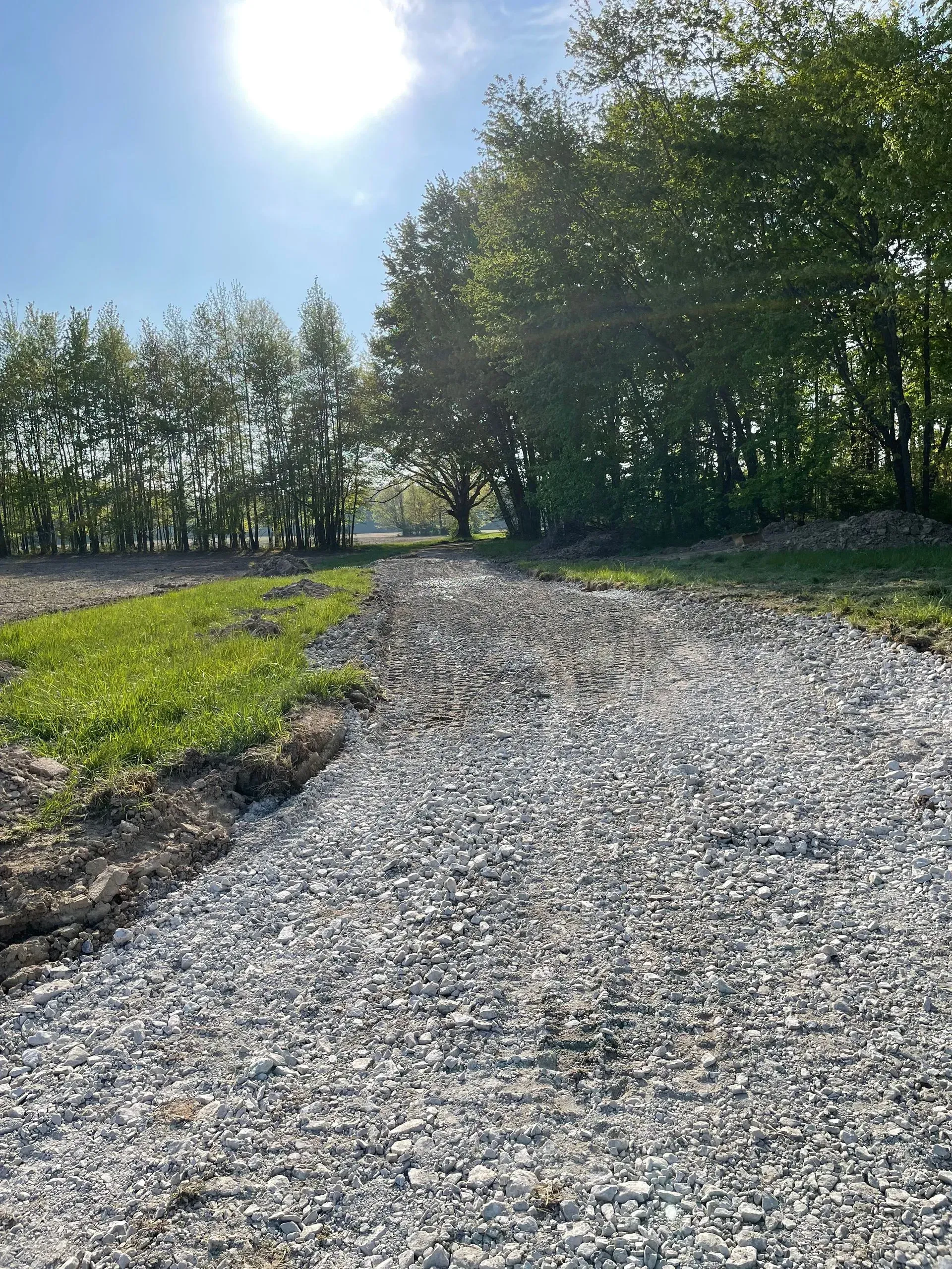 Gravel path curving through a sunny green woodland under a clear blue sky