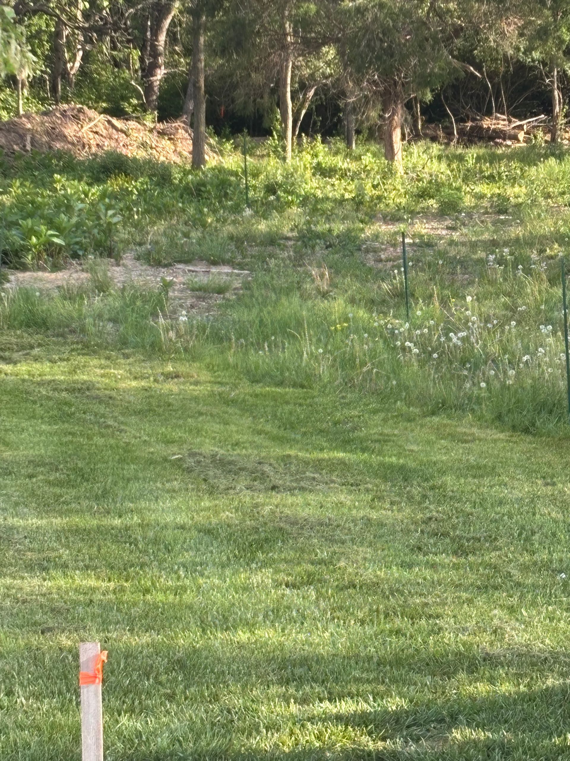 Grassy field with trees and wildflowers in the background, and a small marker post in the foreground