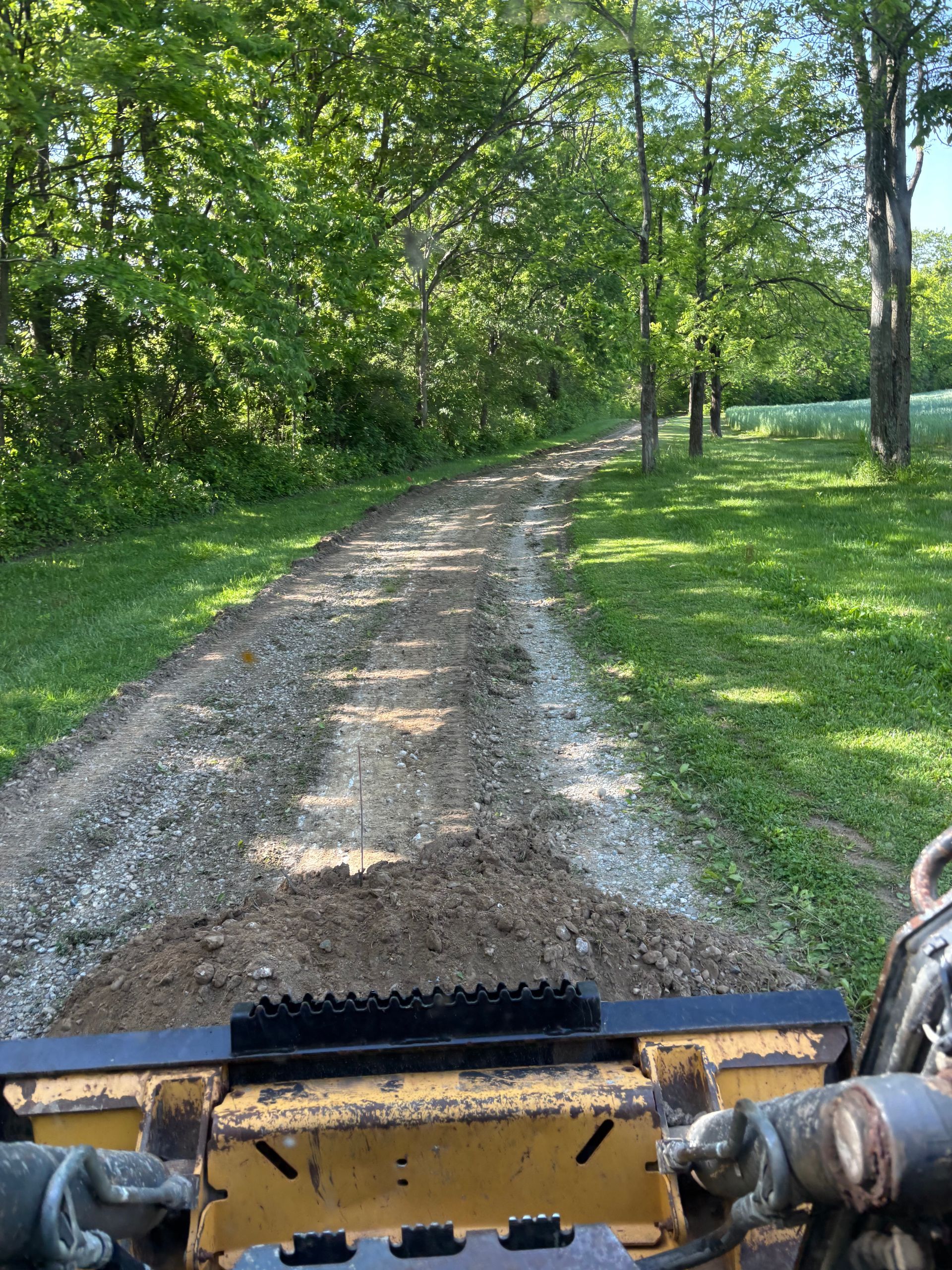 Gravel driveway through a green wooded yard, viewed from a vehicle’s front.
