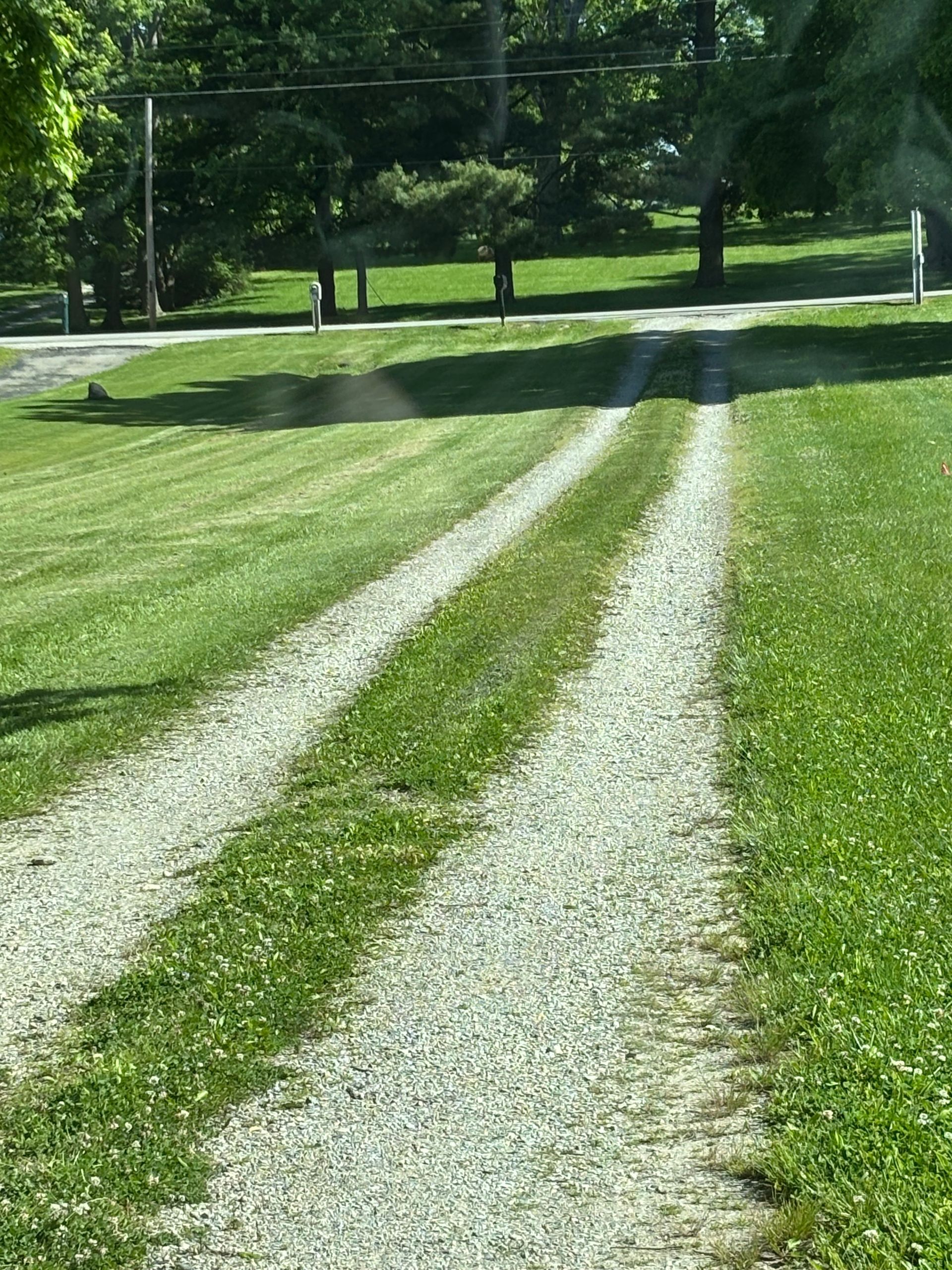 Gravel driveway with two tire tracks through green grass, leading toward a road and trees.