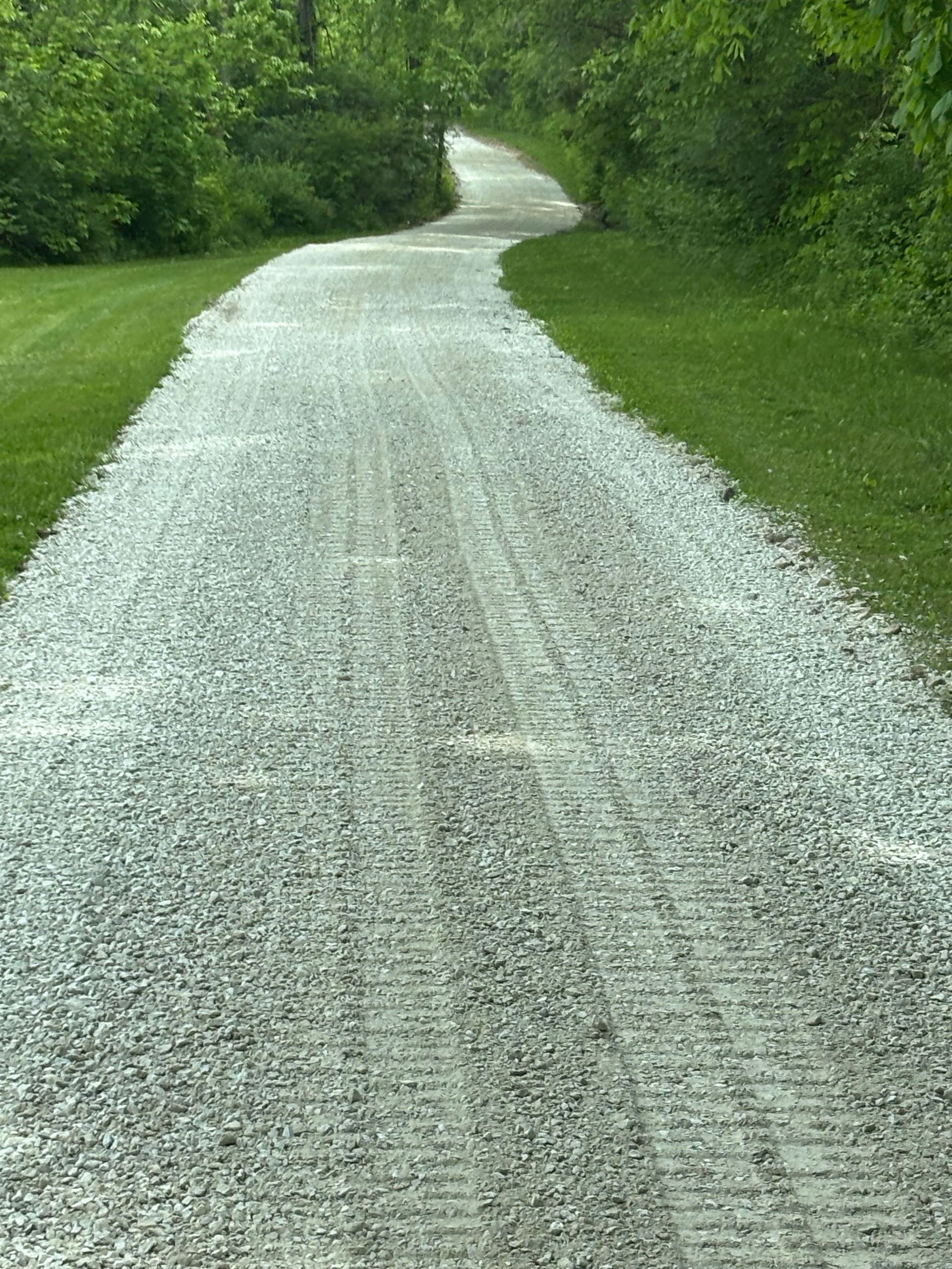 Gravel path winding through a lush green wooded area