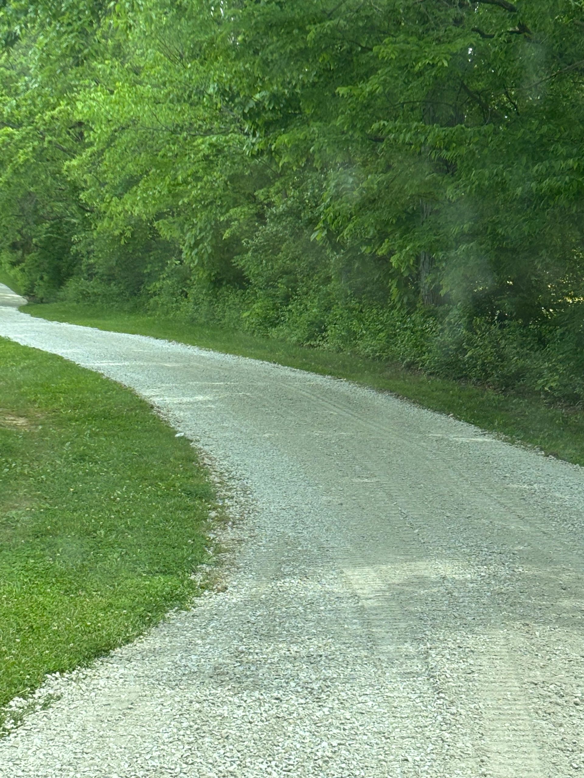 Curving gravel path through lush green trees and grass in a wooded area