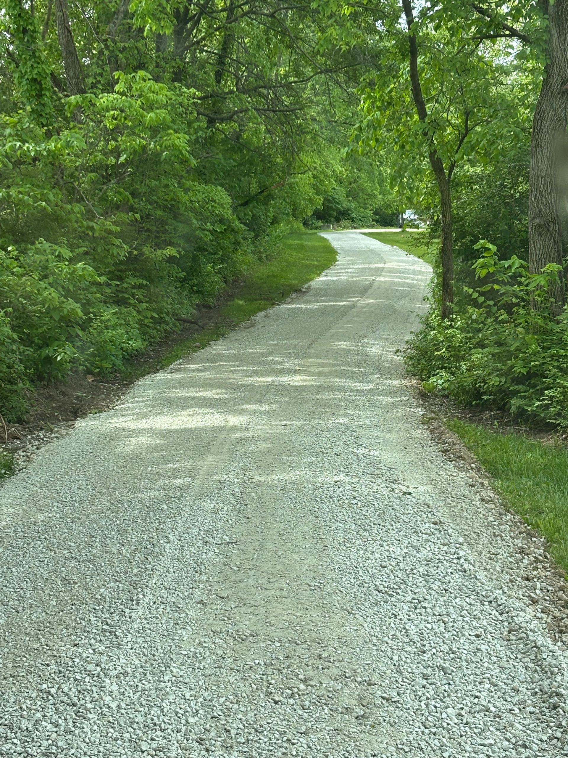 Gravel path winding through lush green woods on a sunny day
