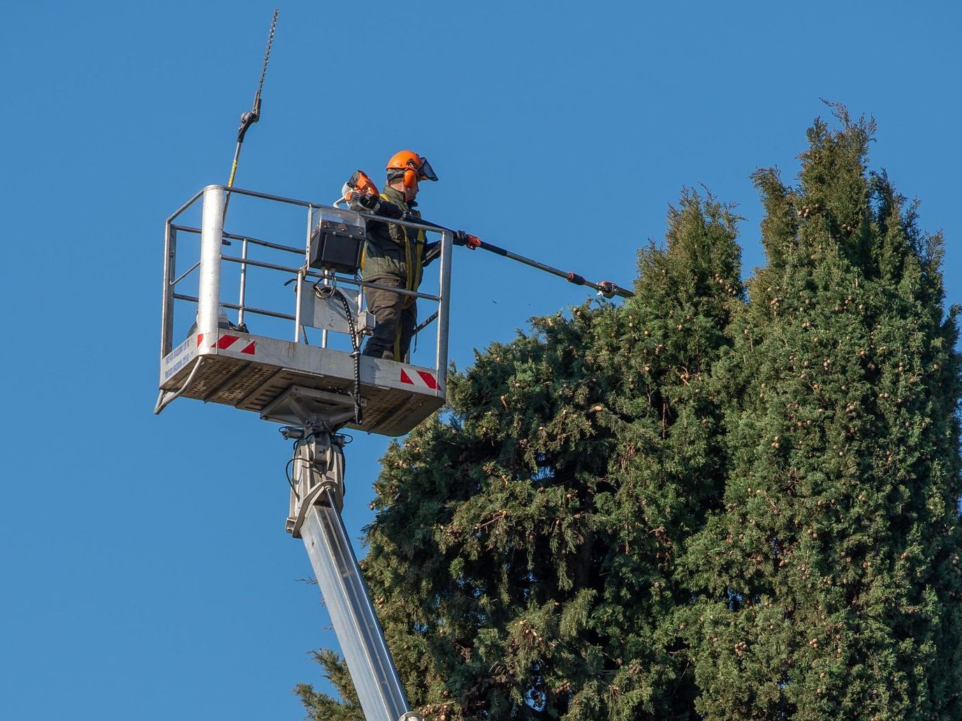 A man in a crane trimming trees