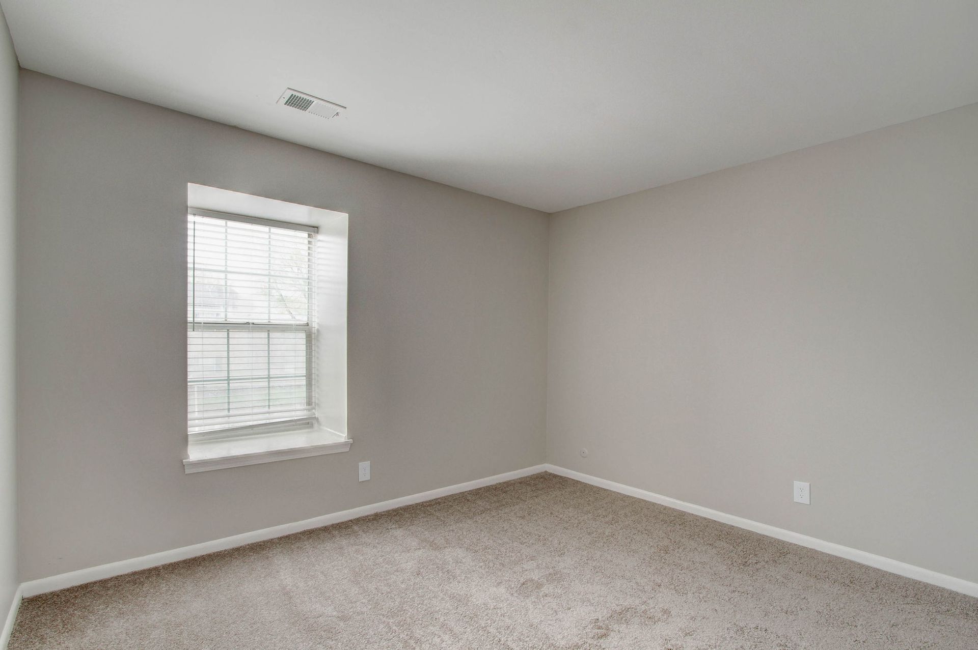 Empty room with beige carpet, gray walls, a window with blinds.