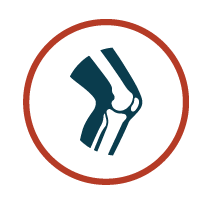 knee icon