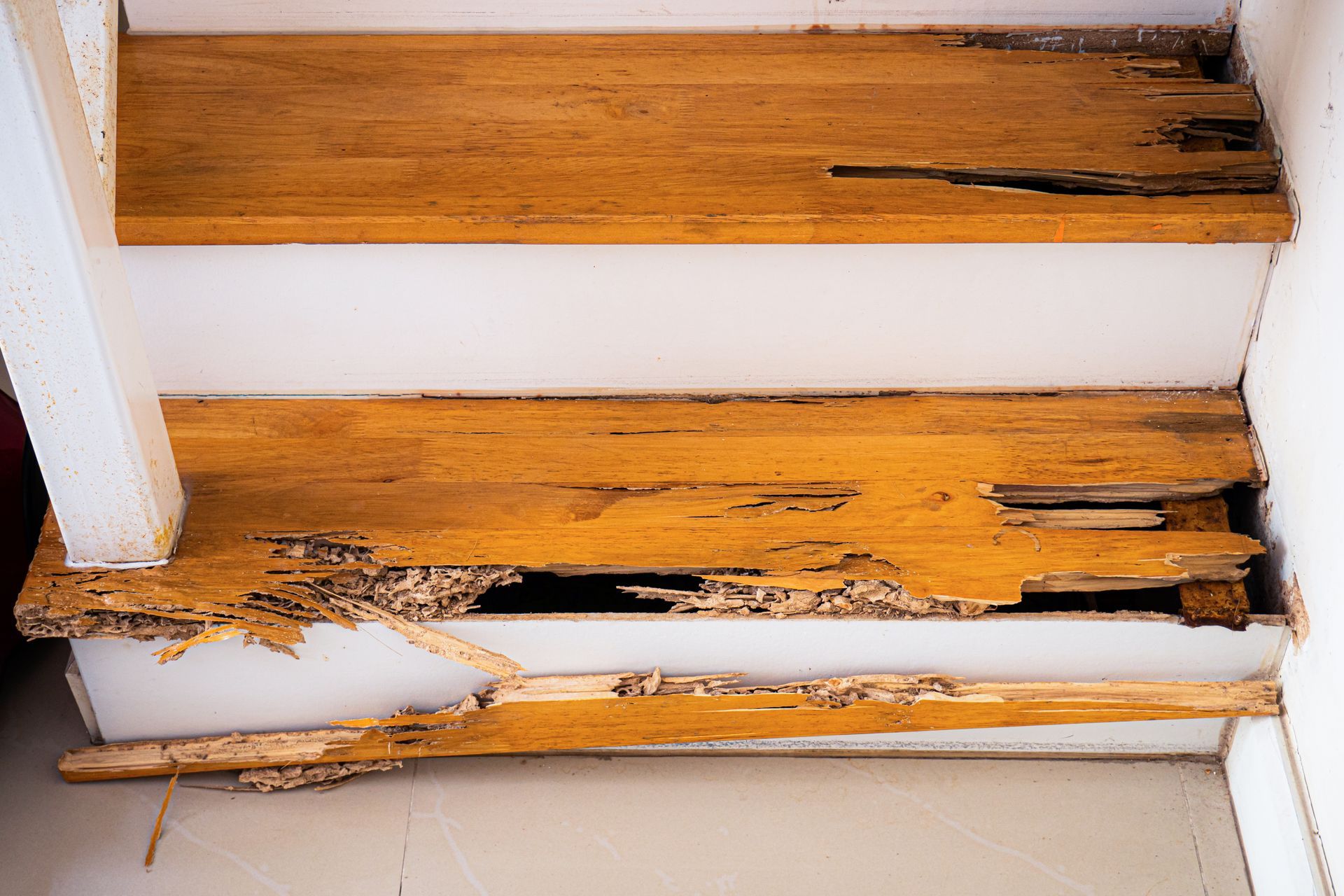 A close-up of wooden stairs that were bitten and destroyed by termites. A close-up of wooden stairs that were bitten and destroyed by termites.
