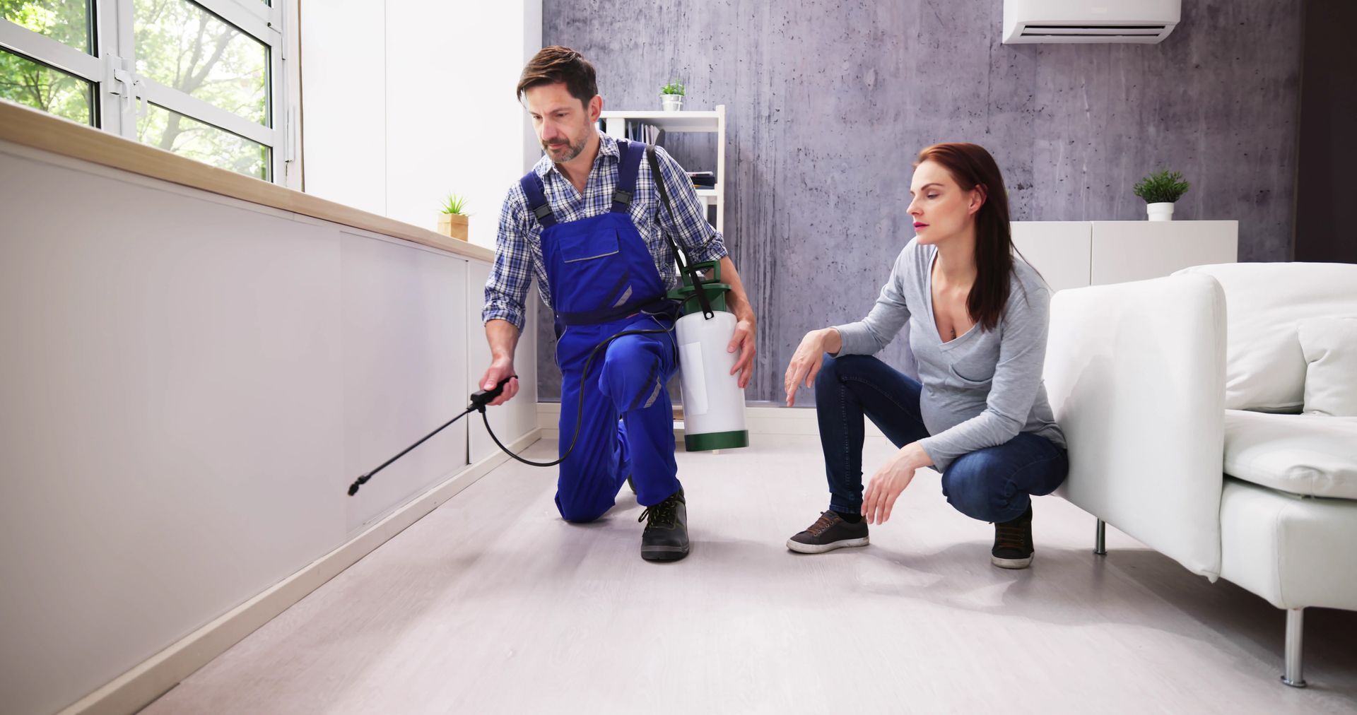 A man is spraying a chemical on a living room.