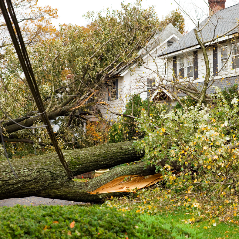 We Buy Damaged Homes for Cash